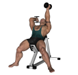 Triceps Extension - Incline Dumbbell Alternate